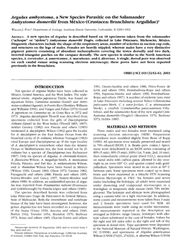 Argulus Ambystoma, a New Species Parasitic on the Salamander Ambystoma Dumerilii from Mexico (Crustacea: Branchiura: Argulidae)1