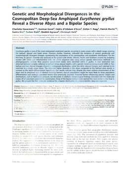 Eurythenes Gryllus Reveal a Diverse Abyss and a Bipolar Species