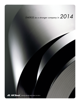 EMERGE As a Stronger Company in 2014