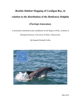 Benthic Habitat Mapping of Cardigan Bay, in Relation to the Distribution of the Bottlenose Dolphin