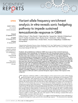 Variant Allele Frequency Enrichment Analysis in Vitro Reveals Sonic Hedgehog Pathway to Impede Sustained Temozolomide Response in GBM