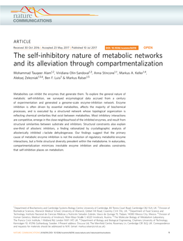 The Self-Inhibitory Nature of Metabolic Networks and Its Alleviation Through Compartmentalization