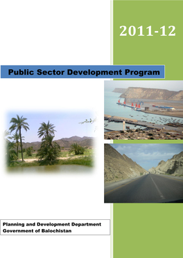 Public Sector Development Program