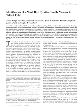 Family Member in Teleost Fish Identification of a Novel IL-1 Cytokine
