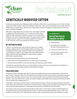 Genetically Modified Cotton