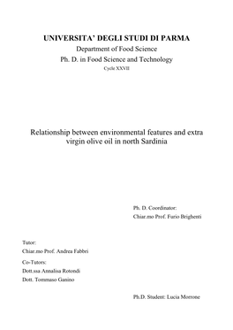 Ph.D. Thesis Morrone