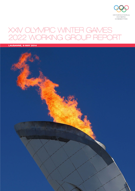 2022 Working Group Report