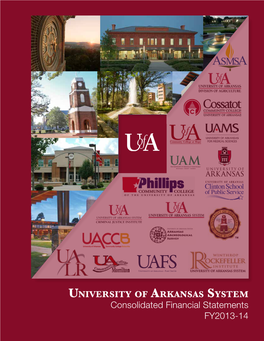 2014 UA Consolidated Financial Statement