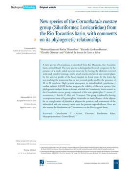 New Species of the Corumbataia Cuestae Group (Siluriformes: Loricariidae) from the Rio Tocantins Basin, with Comments on Its Phylogenetic Relationships