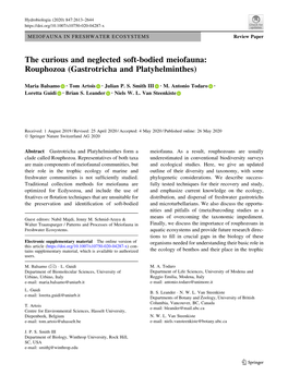 The Curious and Neglected Soft-Bodied Meiofauna: Rouphozoa (Gastrotricha and Platyhelminthes)