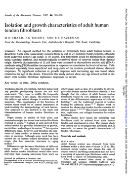 Tendon Fibroblasts