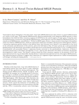 Dermo-1: a Novel Twist-Related Bhlh Protein Expressed in The