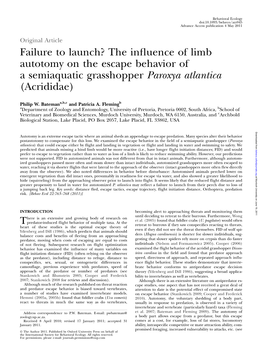 Failure to Launch? the Influence of Limb Autotomy on the Escape Behavior of a Semiaquatic Grasshopper Paroxya Atlantica