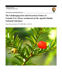 The Challenging Past and Precarious Future of Canada Yew (Taxus Canadensis) in the Apostle Islands National Lakeshore