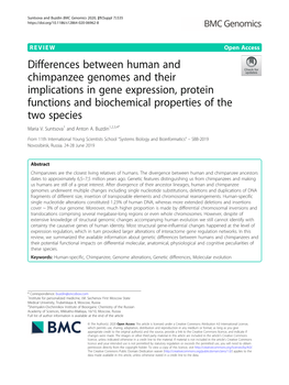 Differences Between Human and Chimpanzee Genomes and Their Implications in Gene Expression, Protein Functions and Biochemical Properties of the Two Species Maria V