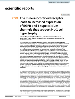 The Mineralocorticoid Receptor Leads to Increased Expression of EGFR