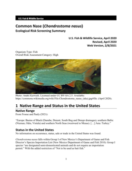 Chondrostoma Nasus) Ecological Risk Screening Summary