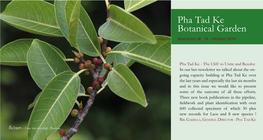 Pha Tad Ke Botanical Garden Newsletter Nr