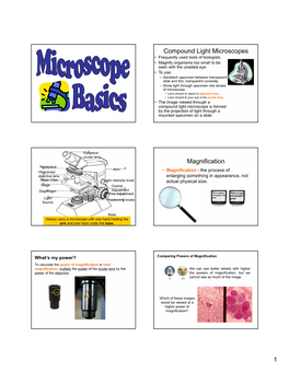Compound Light Microscopes Magnification