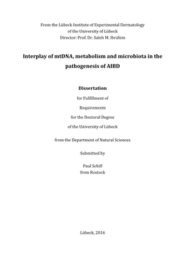 Mt-Atp8 Gene in the Conplastic Mouse Strain C57BL/6J-Mtfvb/NJ on the Mitochondrial Function and Consequent Alterations to Metabolic and Immunological Phenotypes