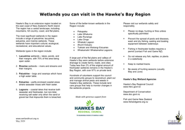 Wetlands You Can Visit in the Hawke's Bay Region
