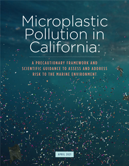 Microplastic Pollution in California