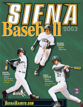 Baseball Cover