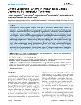 Cryptic Speciation Patterns in Iranian Rock Lizards Uncovered by Integrative Taxonomy