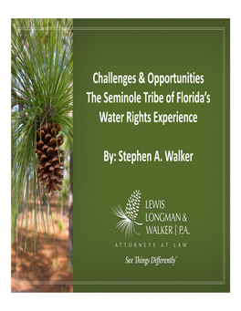 Seminole Tribe Water Rights Experience (Stephen Walker)