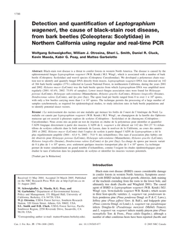 Detection and Quantification of Leptographium Wageneri, The