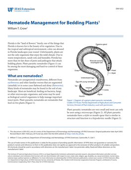 Nematode Management for Bedding Plants1 William T