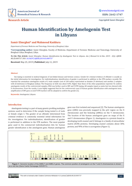 Human Identification by Amelogenin Test in Libyans