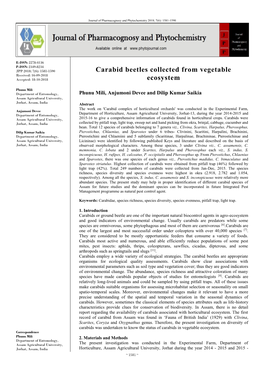 Carabid Beetles Collected from Vegetable Ecosystem