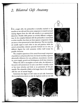 2. Bilateral Cleft Anatomy 19