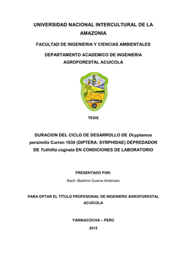 Universidad Nacional Intercultural De La Amazonia