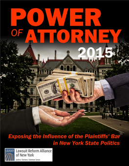 In New York State Politics Exposing the Influence of the Plaintiffs'