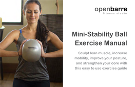 Mini-Stability Ball Exercise Manual