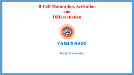 Overview of B-Cell Maturation, Activation, Differentiation