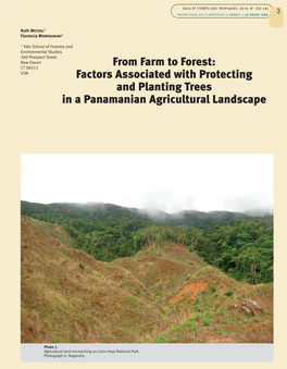 From Farm to Forest: Factors Associated with Protecting And