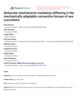 Molecular Mechanisms Mediating Stiffening in the Mechanically Adaptable Connective Tissues of Sea Cucumbers