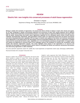 REVIEW Electric Fish: New Insights Into Conserved Processes of Adult Tissue Regeneration