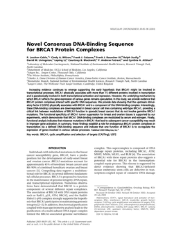 Novel Consensus DNA-Binding Sequence for BRCA1 Protein Complexes