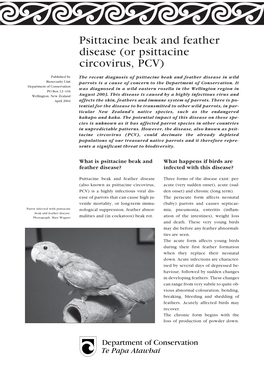 Psittacine Beak and Feather Disease (Or Psittacine Circovirus, PCV)