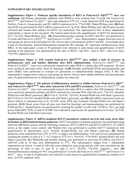 Podocyte Specific Knockdown of Klf15 in Podocin-Cre Klf15flox/Flox Mice Was Confirmed