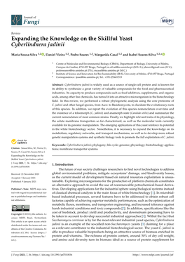 Expanding the Knowledge on the Skillful Yeast Cyberlindnera Jadinii