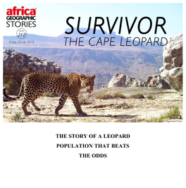Africa Geographic Magazine