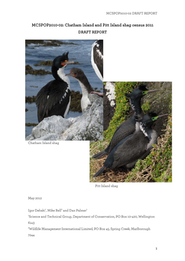 Chatham Island and Pitt Island Shag Census 2011 DRAFT REPORT