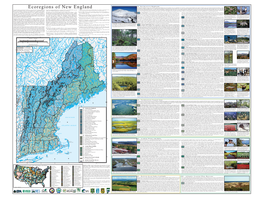 Ecoregions of New England Forested Land Cover, Nutrient-Poor Frigid and Cryic Soils (Mostly Spodosols), and Numerous High-Gradient Streams and Glacial Lakes