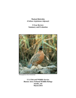 Masked Bobwhite (Colinus Virginianus Ridgwayi) 5-Year Review