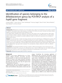 Identification of Species Belonging to the Bifidobacterium Genus by PCR